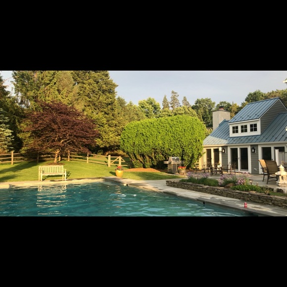 Meet your Posher, Serena - Picture 1 of 1